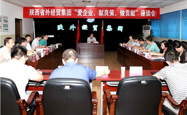 集团公司召开党外代表人士座谈会-bevictor伟德官网