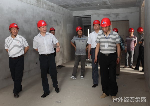 增强治理促落实  清静检查不放松 ——集团公司董事长肖玉龙检查建设一公司所属在建项目-bevictor伟德官网