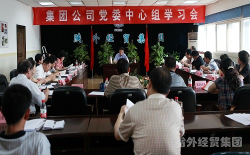 我集团公司党委中心组认真学习胡锦涛同志“七一”主要讲话精神-bevictor伟德官网