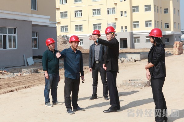 集团公司董事长、党委书记肖玉龙赴集团铜川在建项目举行调研-bevictor伟德官网