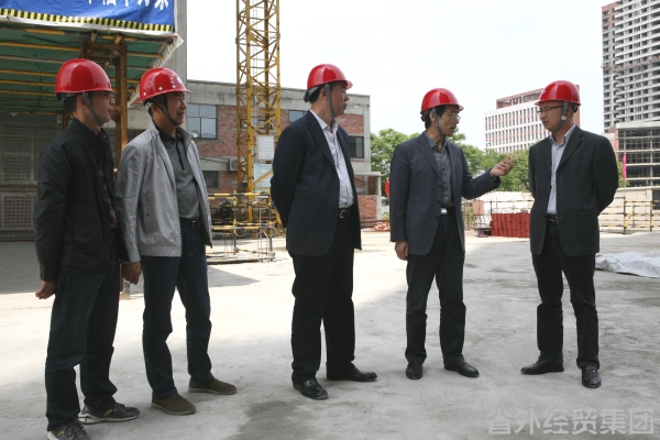 省国资委党委副书记何少华一行赴汉建总调研指导事情-bevictor伟德官网
