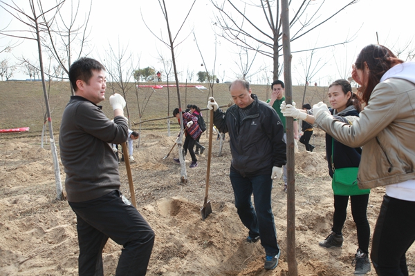 集团公司开展“奉献绿色爱心，，共建生态家园”义务植树活动-bevictor伟德官网