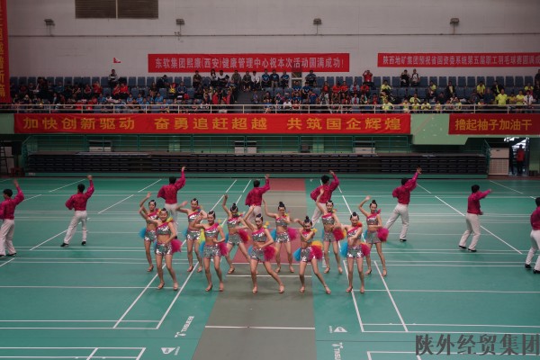 集团加入陕西省国资委系统第五届职工羽毛球赛---夏日激情、羽你分享-bevictor伟德官网