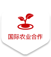 bevictor伟德官网·(中国)唯一官方网站