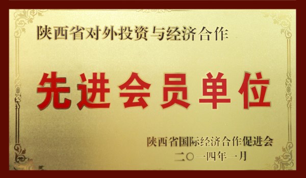 陕西对外投资与经济相助先进会员单位-bevictor伟德官网