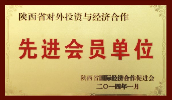 陕西省对外投资与经济相助先进会员单位-bevictor伟德官网