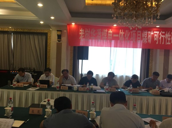陕海投副总司理杨浩一行加入老挝华潘煤电一体化项目煤矿部分及电厂部分可行性研究报告评审会-bevictor伟德官网