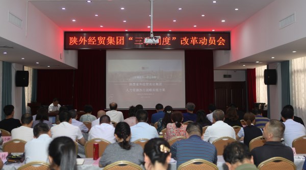 集团公司组织召开推进“三项制度”刷新发动会-bevictor伟德官网
