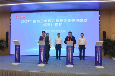 国际农业相助板块-bevictor伟德官网