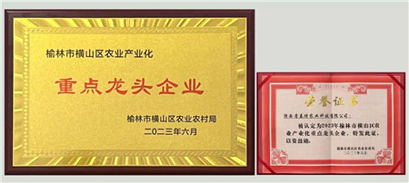 国际农业相助板块-bevictor伟德官网